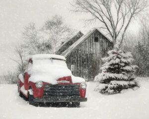 Roy Bonisteel's Christmas Story @ At your Own Home!